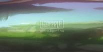 KPMF K75464 purple/green flip-flop